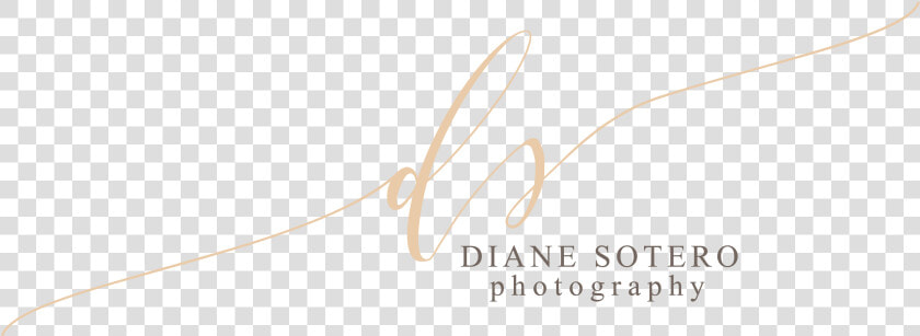 Diane Sotero   Calligraphy  HD Png DownloadTransparent PNG