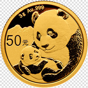 2019 3 Gram Chinese Gold Panda Obverse   Panda Gold Coin 2019  HD Png DownloadTransparent PNG