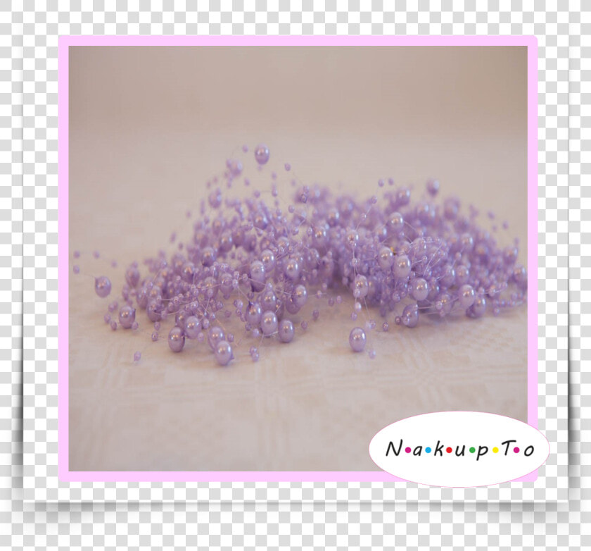 Wisteria  HD Png DownloadTransparent PNG