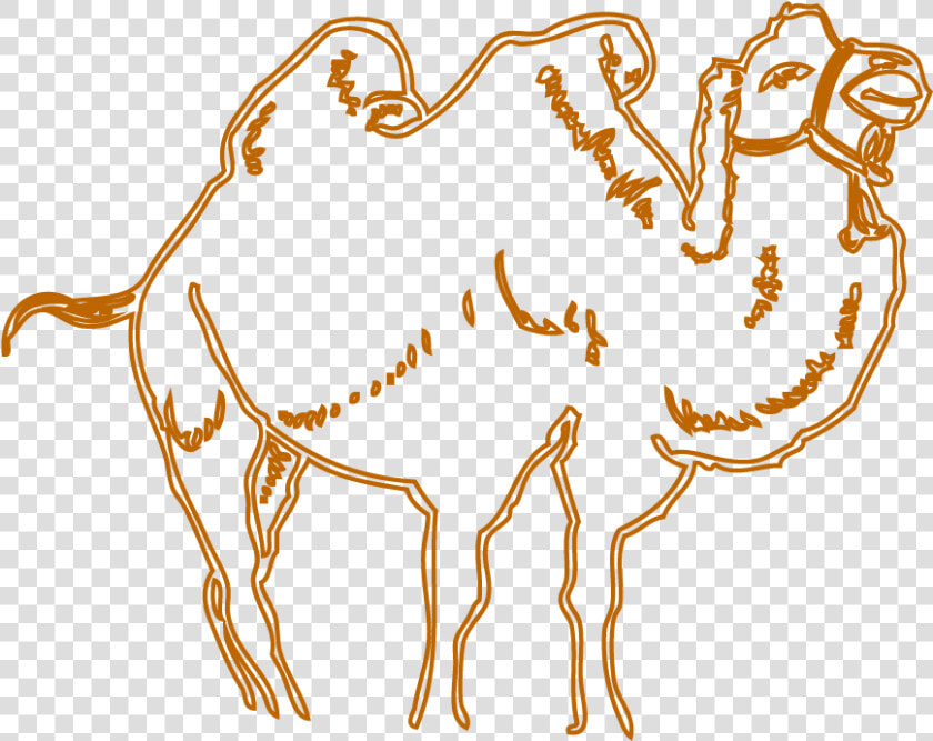 Camel Head Huge Freebie Download For   Arabian Camel  HD Png DownloadTransparent PNG