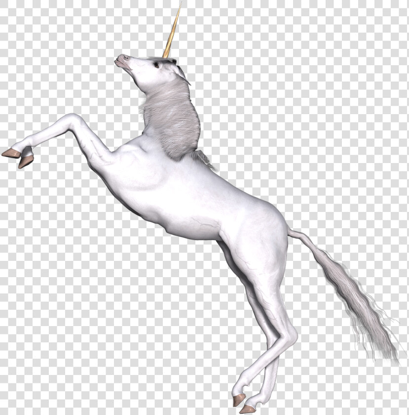 Full White Unicorn Prancing   Unicorn  HD Png DownloadTransparent PNG