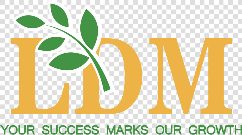 Dmci Homes New Logo  HD Png DownloadTransparent PNG