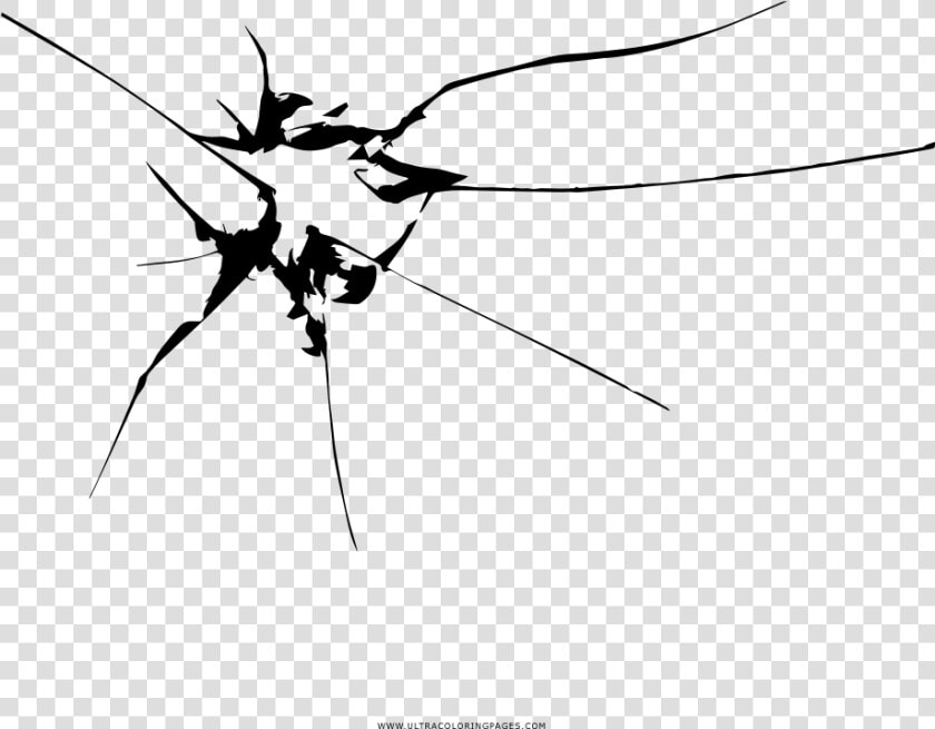 Broken Glass Crack Coloring Page   Mosquito  HD Png DownloadTransparent PNG