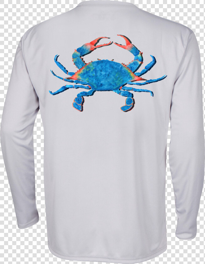 Chesapeake Blue Crab  HD Png DownloadTransparent PNG