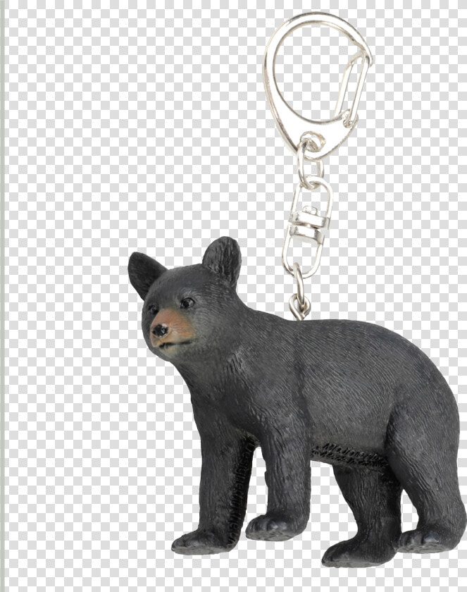 Keychains  amp  Accessories   American Black Bear  HD Png DownloadTransparent PNG