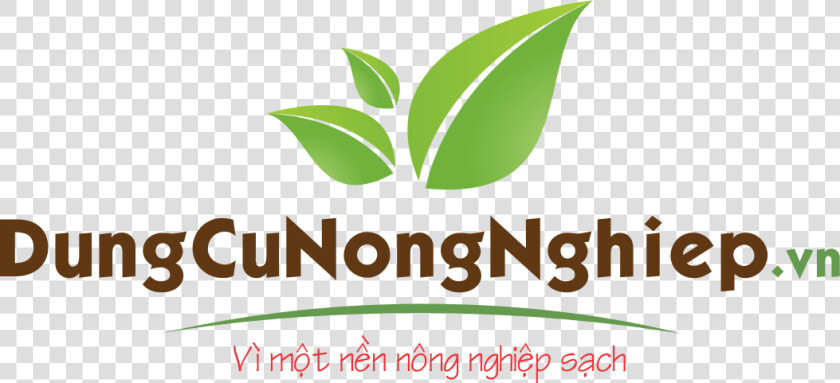 Hoa Mai Png  Transparent PngTransparent PNG