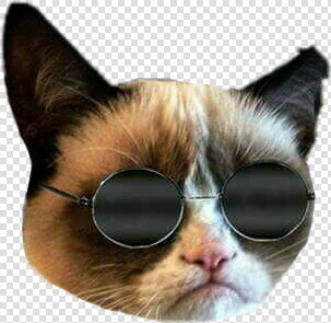  cat  grummpycat  memes  momo   Grumpy Cat With Smile  HD Png DownloadTransparent PNG