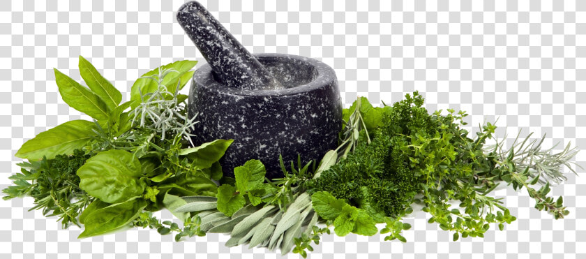 Transparent Herb Png   Png Clipart Mortar And Pestle Transparent Background  Png DownloadTransparent PNG