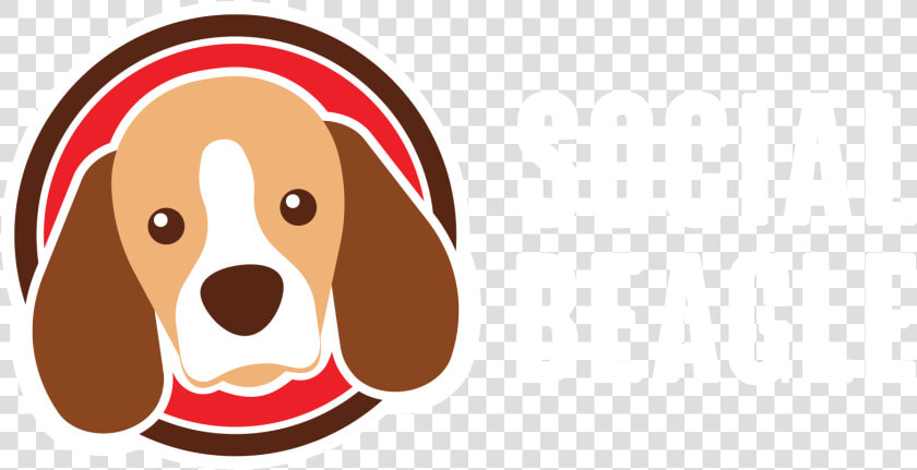 Beagle  HD Png DownloadTransparent PNG