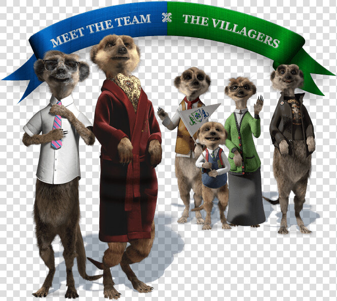 2 0 Ctm Meetthemeerkats 02 V21   Compare The Meerkat Meerkats  HD Png DownloadTransparent PNG