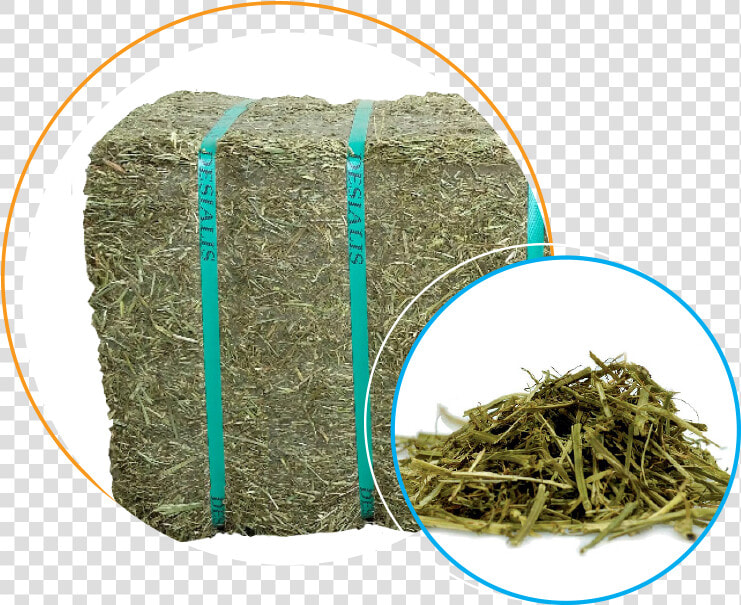 Packed In Bagged Small Bales Of 20 Kg  The Alfalfa  HD Png DownloadTransparent PNG