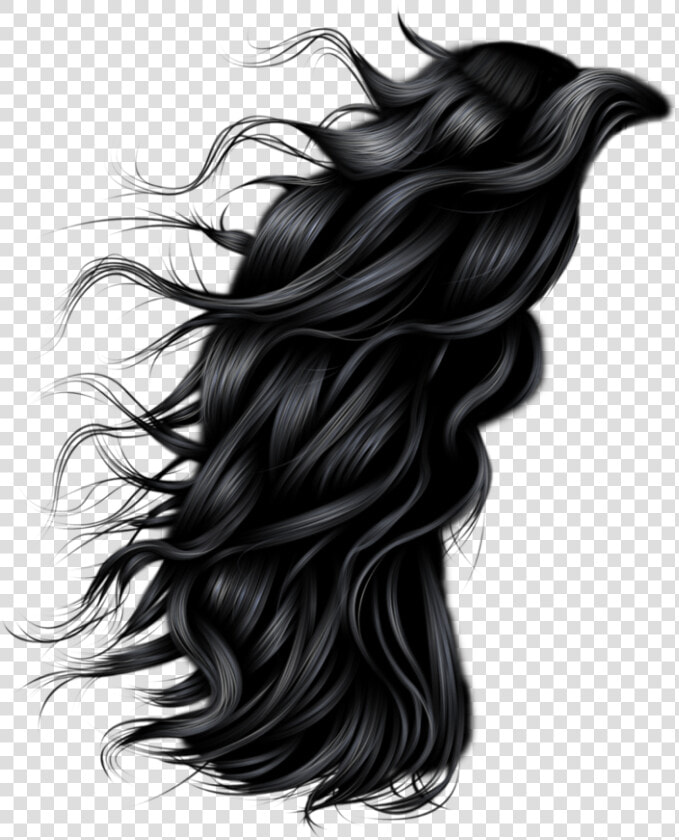 Hairstyle Photography Clip Art   Long Hair Men Png  Transparent PngTransparent PNG