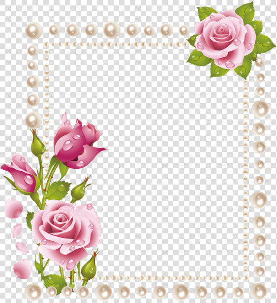 خلفية شفافة Png خلفيات شفافة للهاتف جديدة وحلوة رمزيات   Flower Rose Wallpaper Png  Transparent PngTransparent PNG