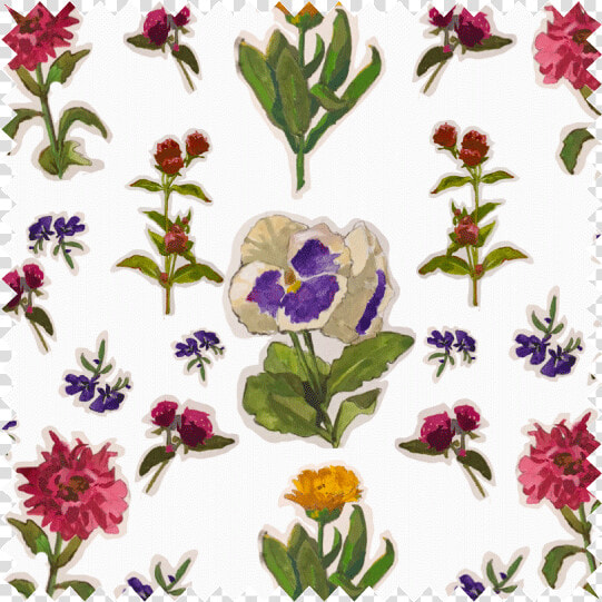 Pansies And Friends  HD Png DownloadTransparent PNG