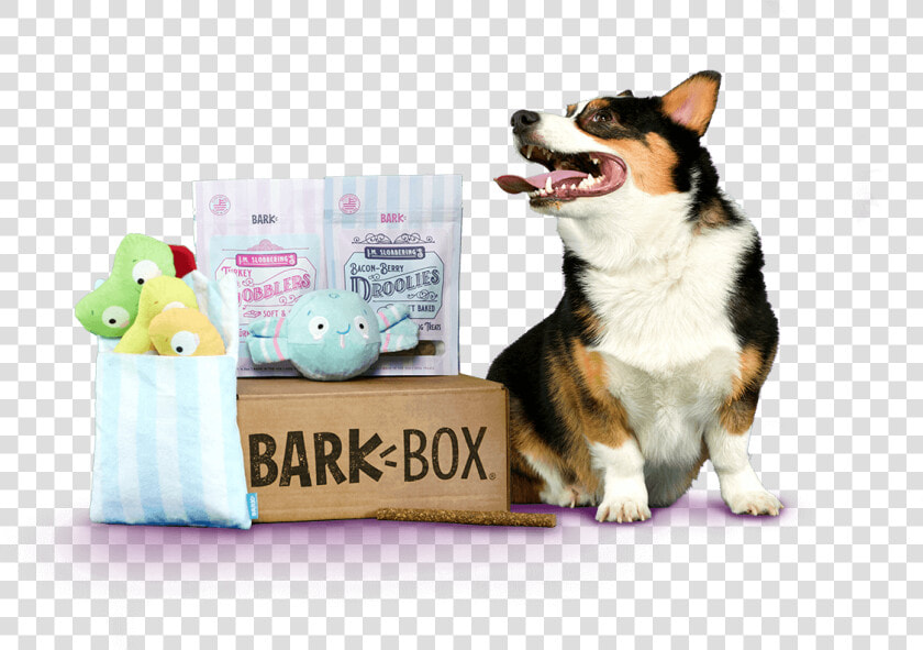 0 Replies 0 Retweets 0 Likes   Barkbox  HD Png DownloadTransparent PNG