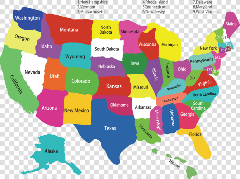 Usa Vector 2 And New 50 States Map   Usa Map  HD Png DownloadTransparent PNG