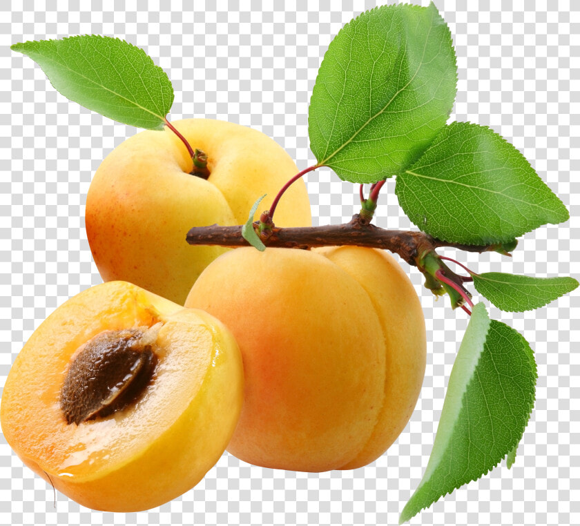 Apricots Png  Transparent PngTransparent PNG