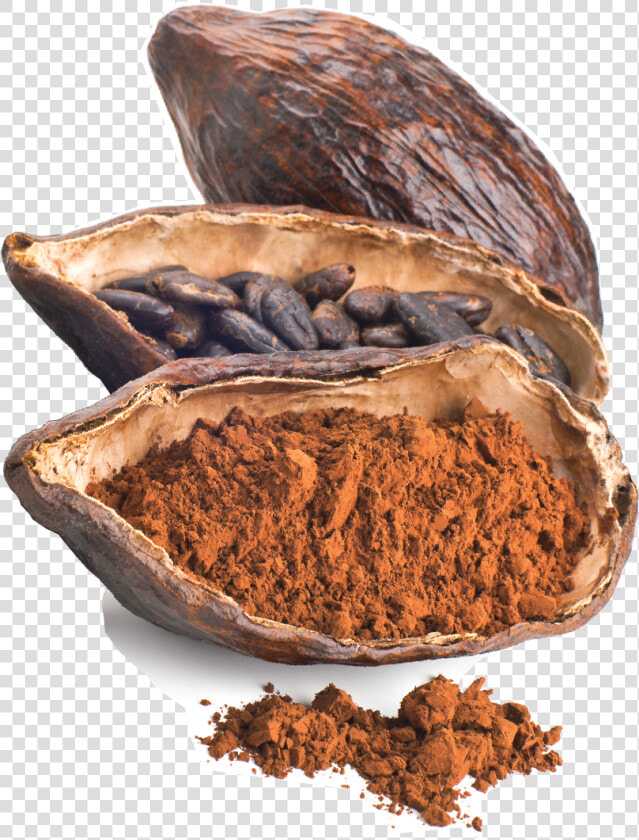 Free Download Cacao Bean  HD Png DownloadTransparent PNG