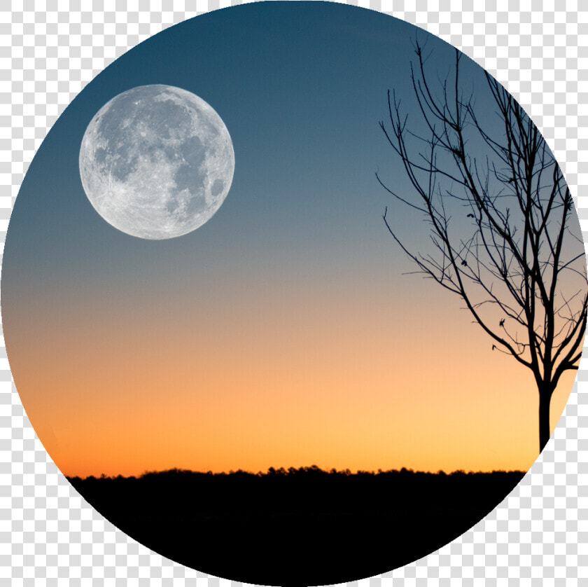 Harvest Moon Png  because I M Still In Love With You    February Full Moon 2019  Transparent PngTransparent PNG