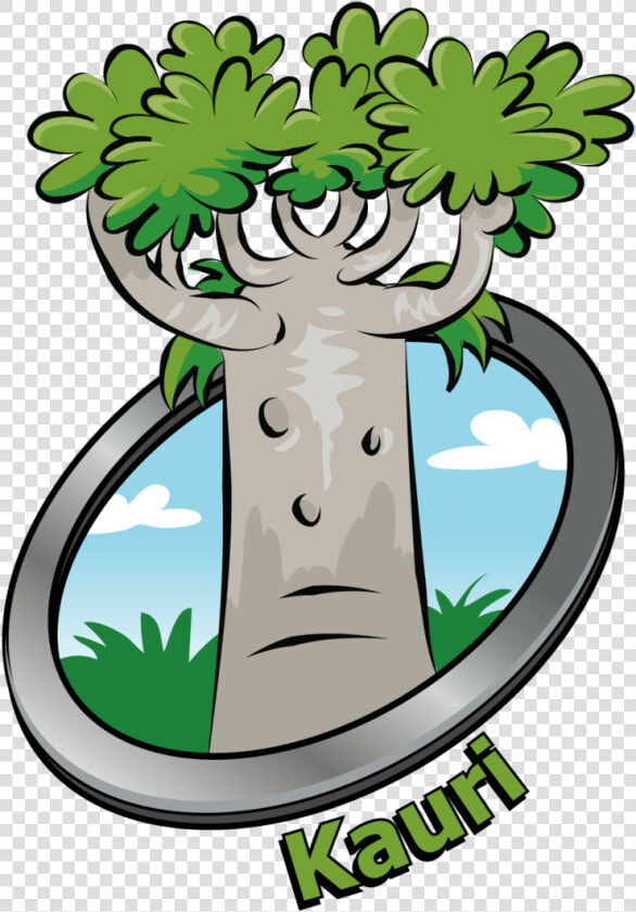 Tree Clipart Clipart Kauri Tree   Cartoon Kauri Tree Drawing  HD Png DownloadTransparent PNG