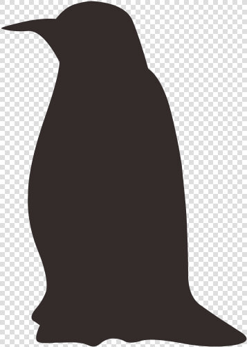 Penguin Bird Black And White Silhouette Wallpaper   Penguin Silhouette  HD Png DownloadTransparent PNG