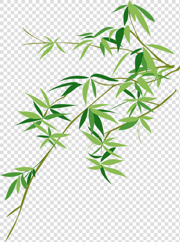 Vector Bamboo Bambusodae Painting Chinese Png Download   Bamboo Leaf Vector Png  Transparent PngTransparent PNG