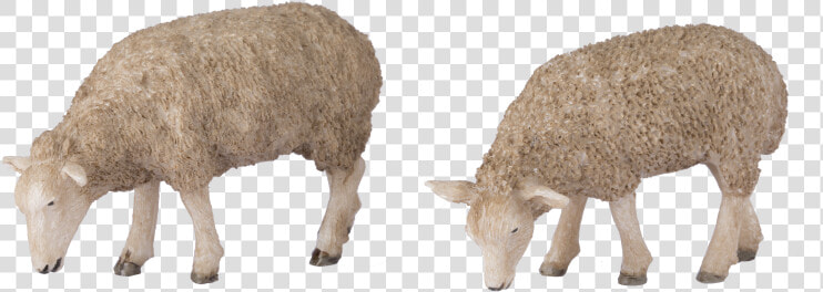 G Scale Grazing Sheep   Sheep  HD Png DownloadTransparent PNG