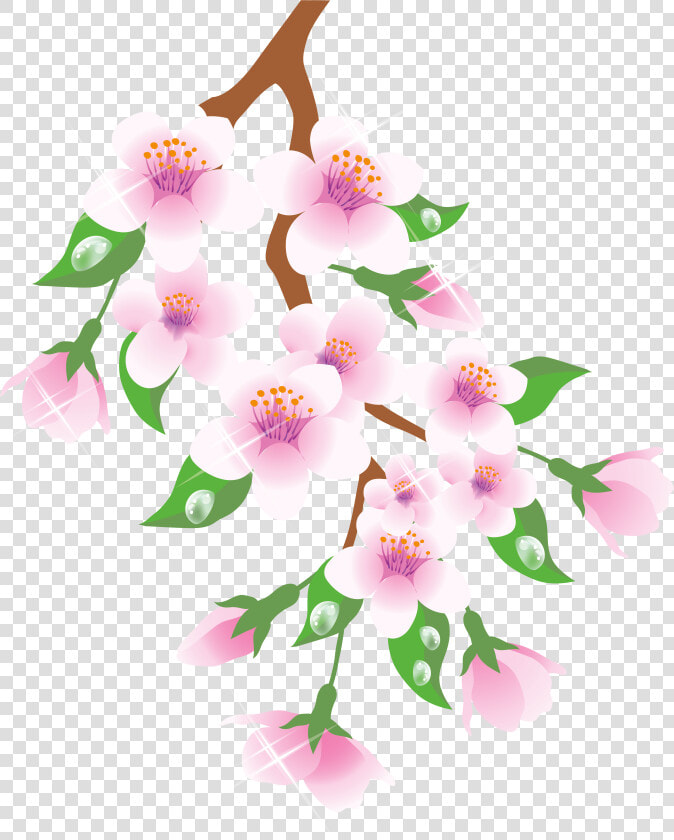 Spring Branch Pink Png Clipart   Spring Branch Clipart  Transparent PngTransparent PNG