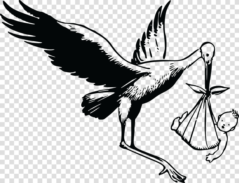 Art monochrome Photography galliformes   Stork Clipart Black And White  HD Png DownloadTransparent PNG