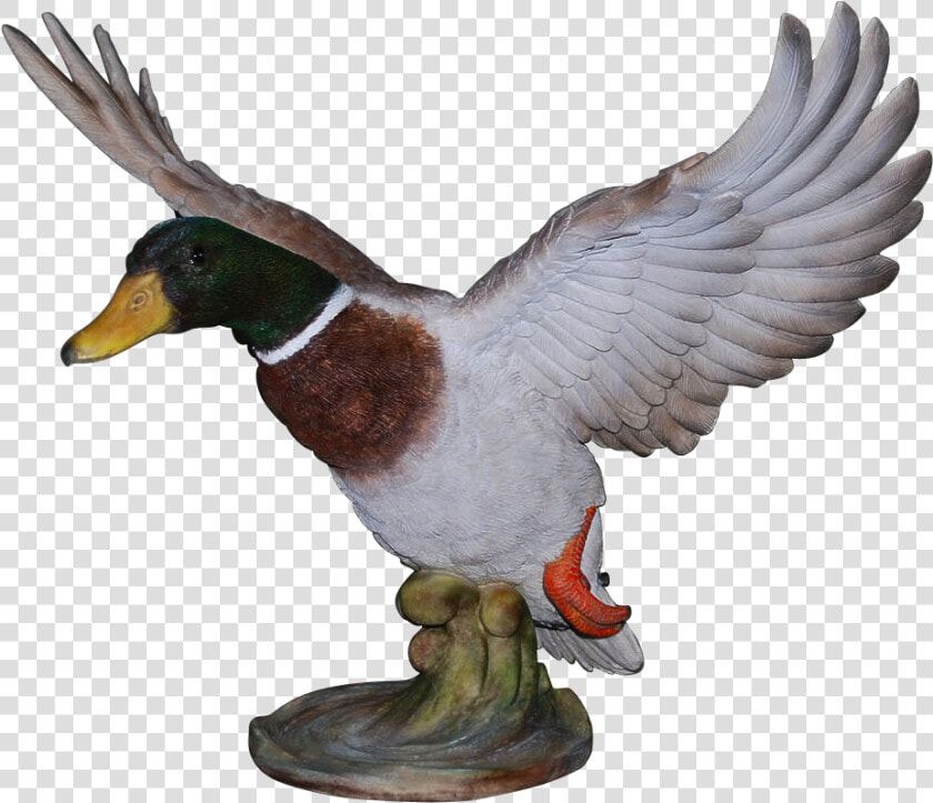 Vivid Arts Resin Flying Duck Medium   Mallard  HD Png DownloadTransparent PNG