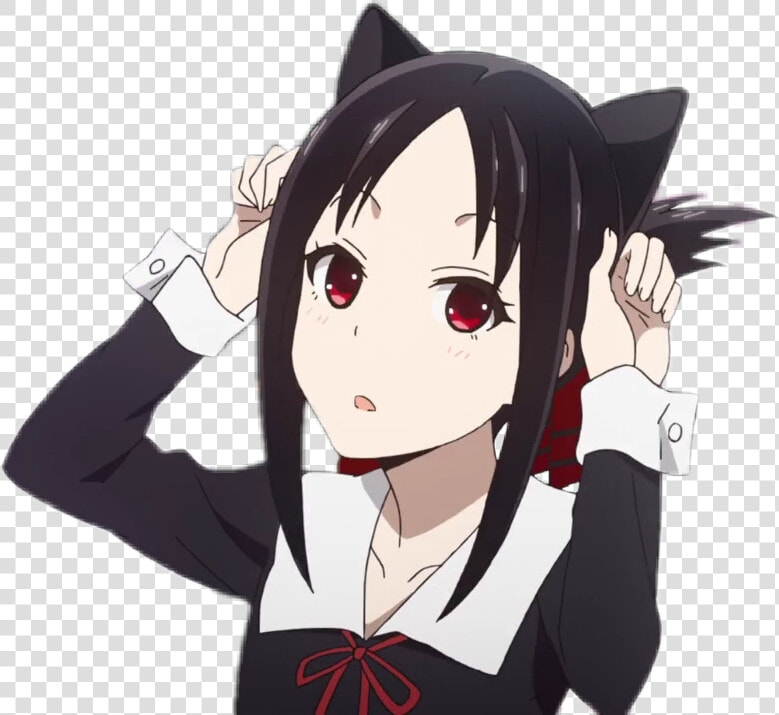  kaguya  kaguya sama  waifu  waifu♡  anime  animegirl   Kaguya Sama Love Is War Cat Ears  HD Png DownloadTransparent PNG