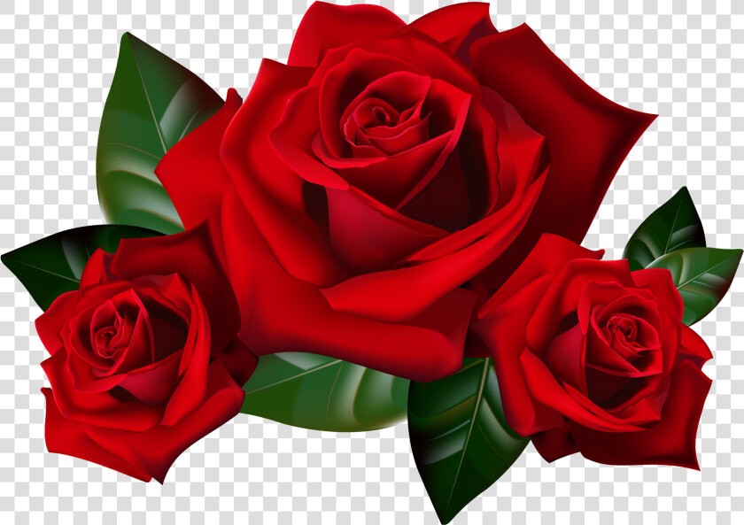 Red Rose Png Download   Red Roses Clip Art  Transparent PngTransparent PNG