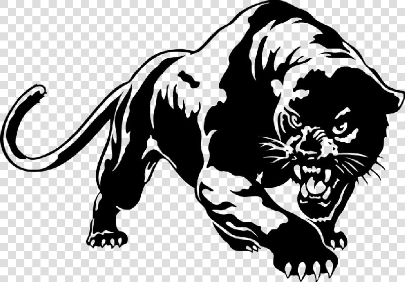 Panther Png Picture   Black Panther Animal Drawing  Transparent PngTransparent PNG