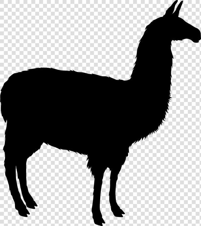 Llama Alpaca Silhouette Clip Art   Silhouette Transparent Llama Svg  HD Png DownloadTransparent PNG