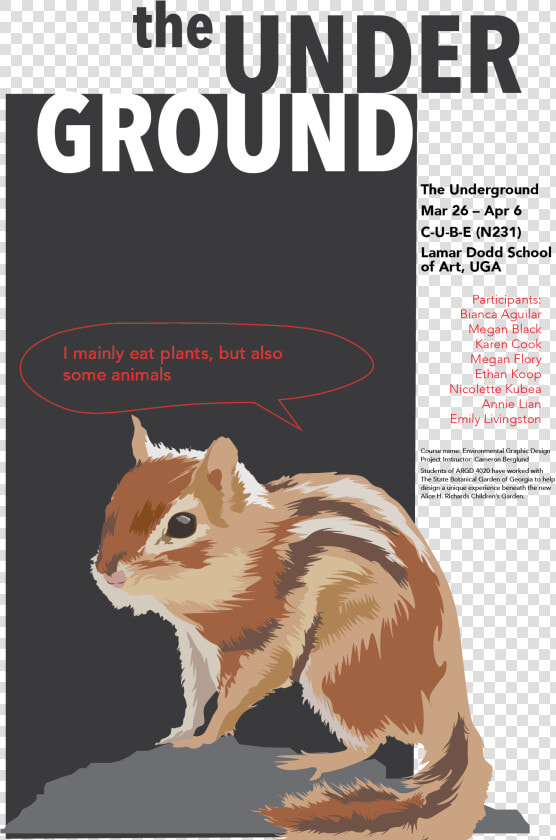 This Project Includes   Eastern Chipmunk  HD Png DownloadTransparent PNG