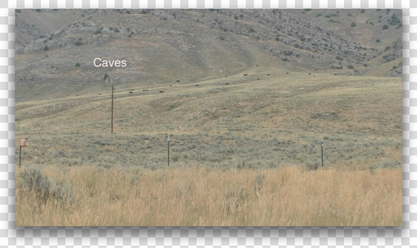 Picture   Grassland  HD Png DownloadTransparent PNG