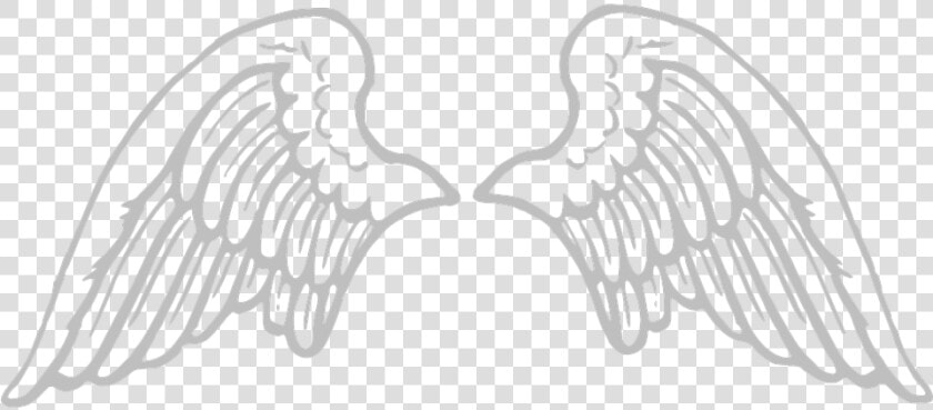 Alas  Ángel  Grandes  Plumas  Propagación  Santa   Transparent Angel Wings Clipart  HD Png DownloadTransparent PNG