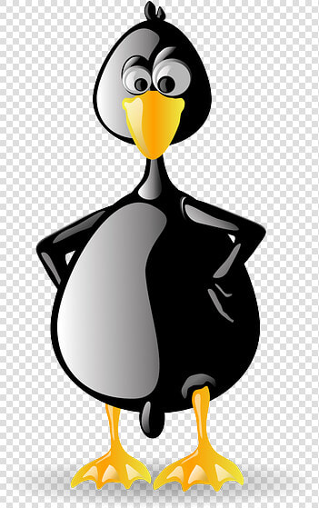 Penguin  Tux  Animal  Bird  Black  Beak  Zoo  Linux  HD Png DownloadTransparent PNG