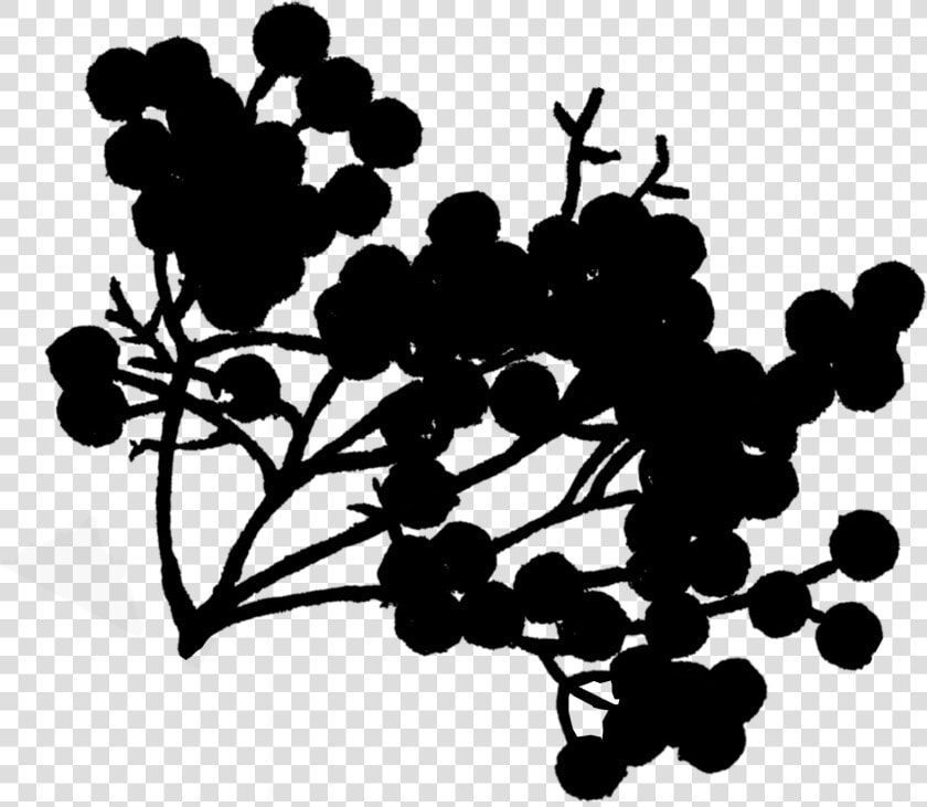 Grape Desktop Wallpaper Pattern Clip Art Silhouette   Silhouette  HD Png DownloadTransparent PNG