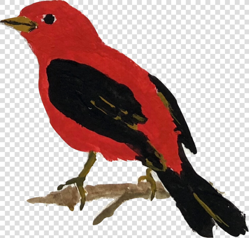 Tanager   Scarlet Tanager  HD Png DownloadTransparent PNG