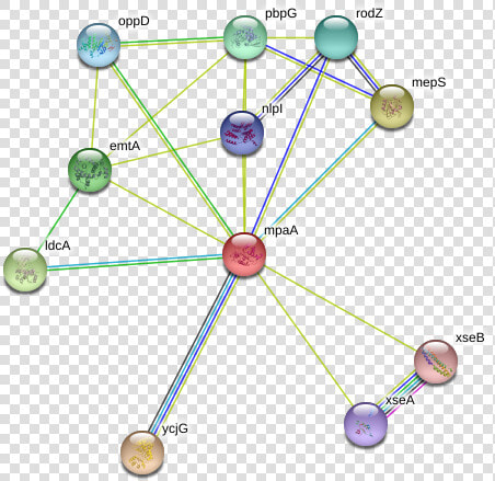 Mpaa Protein   Circle  HD Png DownloadTransparent PNG