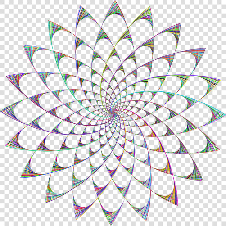 Flower leaf symmetry  HD Png DownloadTransparent PNG