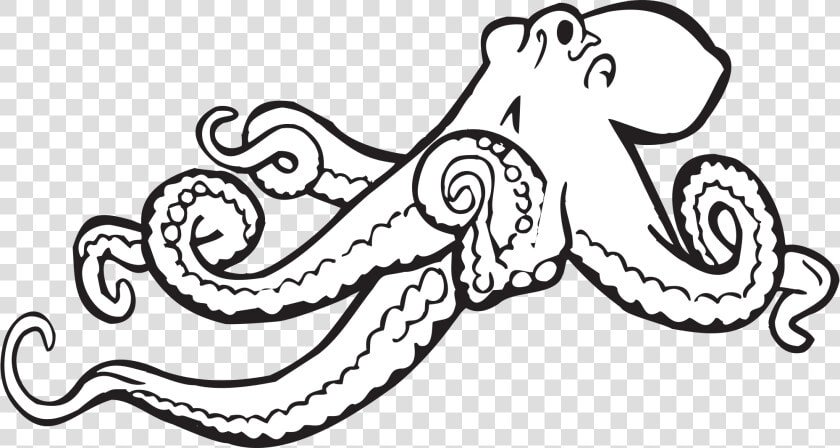 Octopus Illustrations 2 Octopus Vector Image Clipart   Octopus Clipart Black And White  HD Png DownloadTransparent PNG