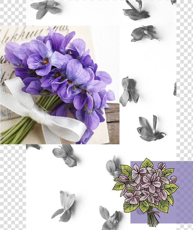 Explore Violet Bouquet   Букет Фиалок С Днем Рождения  HD Png DownloadTransparent PNG