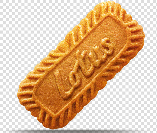 Lotus Biscoff   Biscuit Lotus  HD Png DownloadTransparent PNG