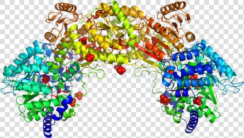 Bifunctional Protein Puta Pdb Model title Load   Illustration  HD Png DownloadTransparent PNG