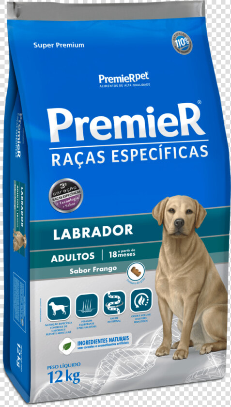 Premier Raças Específicas Labrador  HD Png DownloadTransparent PNG