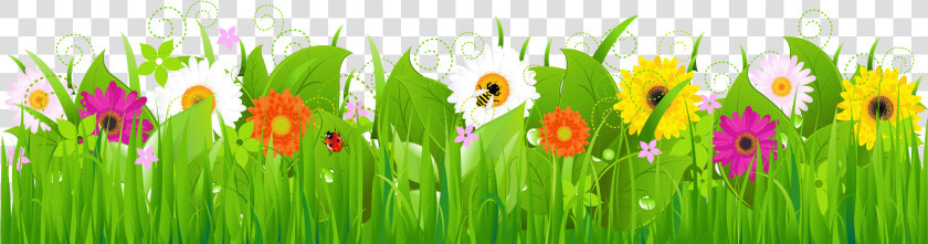 Flowers Grass Png Images Clipart   Grass And Flowers Clipart Png  Transparent PngTransparent PNG