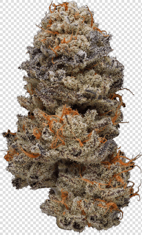 Weed Nug Transparent Background  HD Png DownloadTransparent PNG