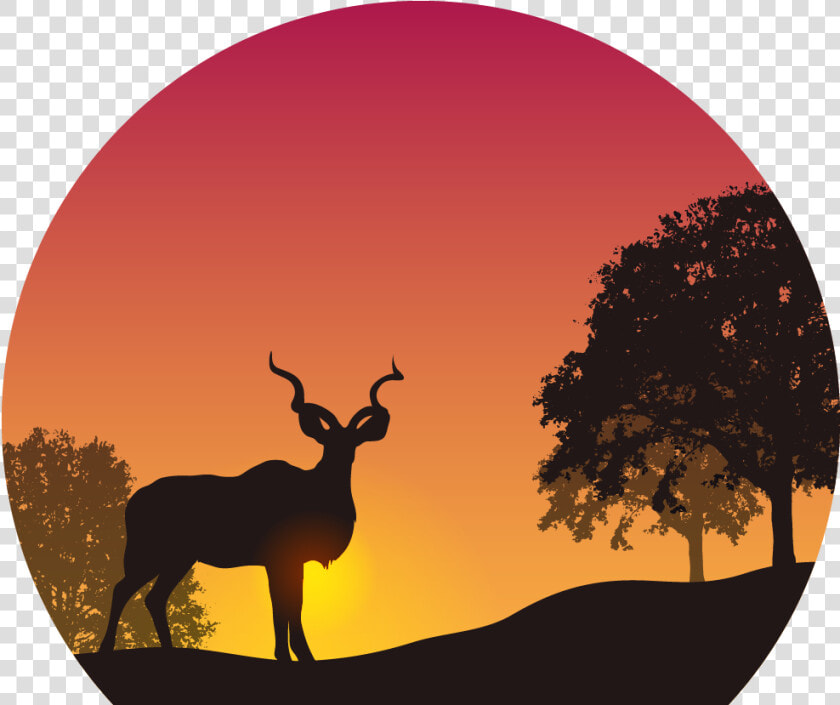 Sunset In The Wild Png Image   Kudu Silhouette Sunset  Transparent PngTransparent PNG